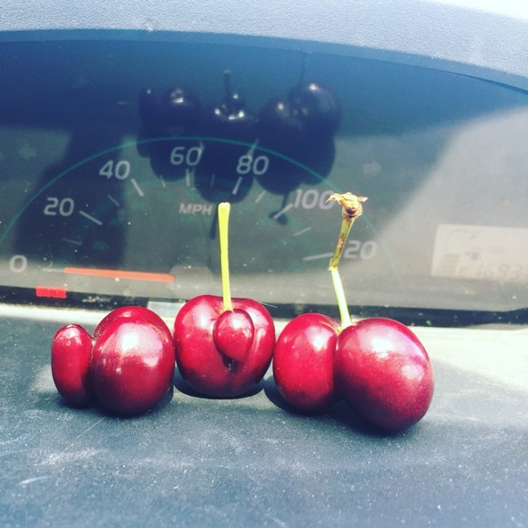 Meet your Posher, Dré 🖤 - Picture 2 of 8